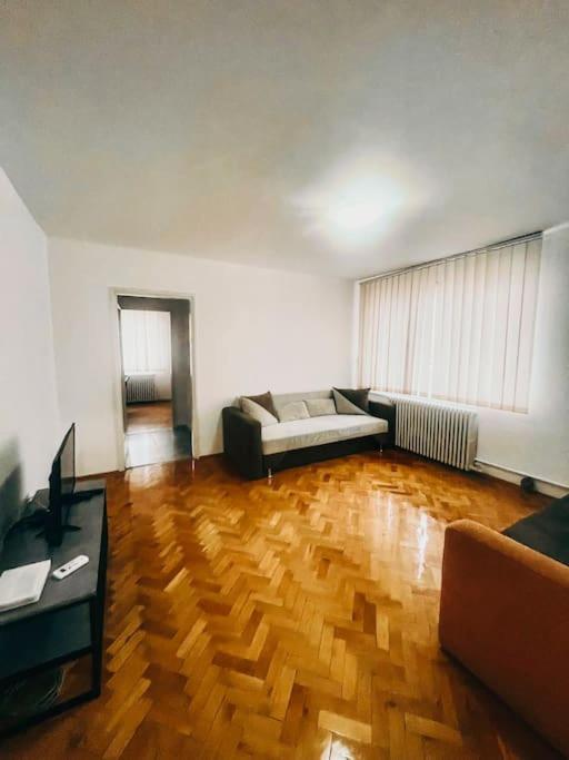 Ultracentral Big Flat Near The Opera Square P17 Timisoara Exterior photo