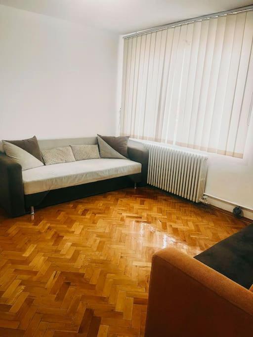 Ultracentral Big Flat Near The Opera Square P17 Timisoara Exterior photo