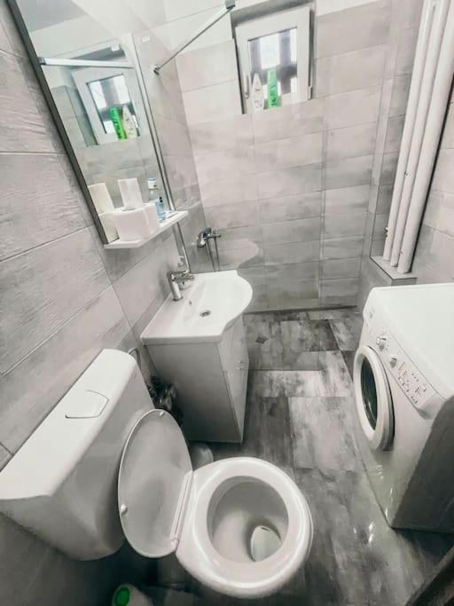 Ultracentral Big Flat Near The Opera Square P17 Timisoara Exterior photo