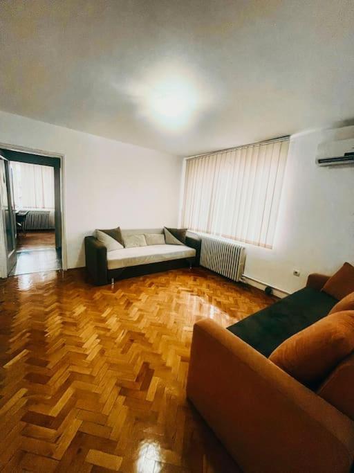 Ultracentral Big Flat Near The Opera Square P17 Timisoara Exterior photo