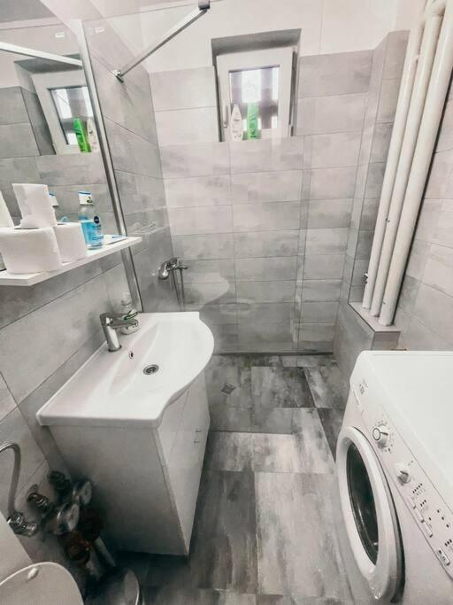 Ultracentral Big Flat Near The Opera Square P17 Timisoara Exterior photo